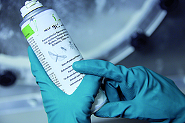 Mit Schutzhandschuhen eine Insektenspraydose halten