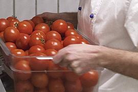 Köchin entnimmt Kiste mit Tomaten aus dem Lager