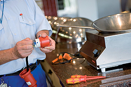 Prüfung einers elektrischen Woks