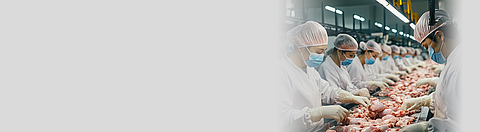 Mitarbeitende am Fließband bearbeiten Fleischstücke.