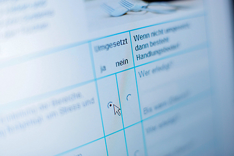 Formularseite einer Gefährdungsbeurteilung