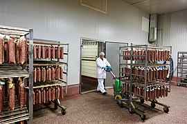 Elektrische Ziehhilfe für Rauchwagen