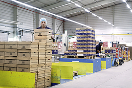 Senkung der Rückenbelastung bei Palettierarbeiten