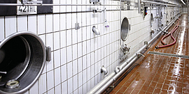 Brauereikeller mit Tanks und Rohrleitungen